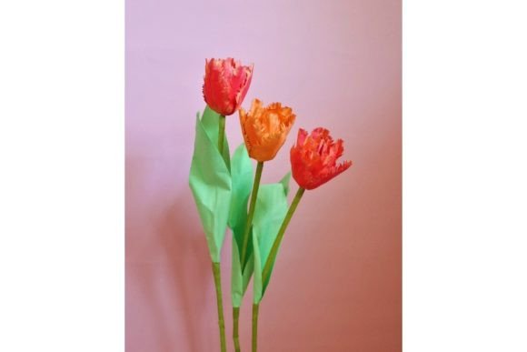 Double Fringed Tulip: 3D SVG Paper Flowers