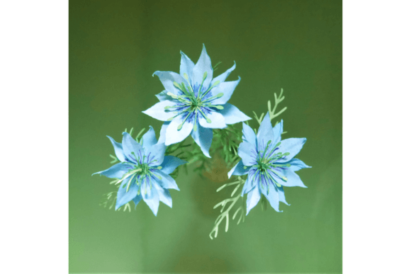 Nigella 3D SVG Paper Flowers Review